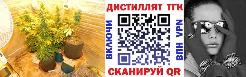 Купить закладки  Выборг  ТГК жижа 