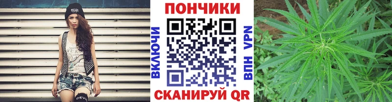 Бошки Шишки сатива  Купить  Выборг 